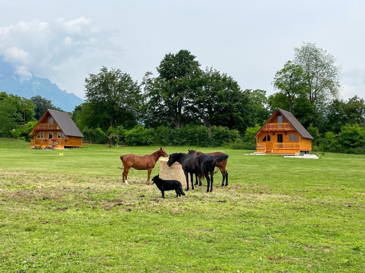 Agri Camp Dolomiti Belluno Exterior foto