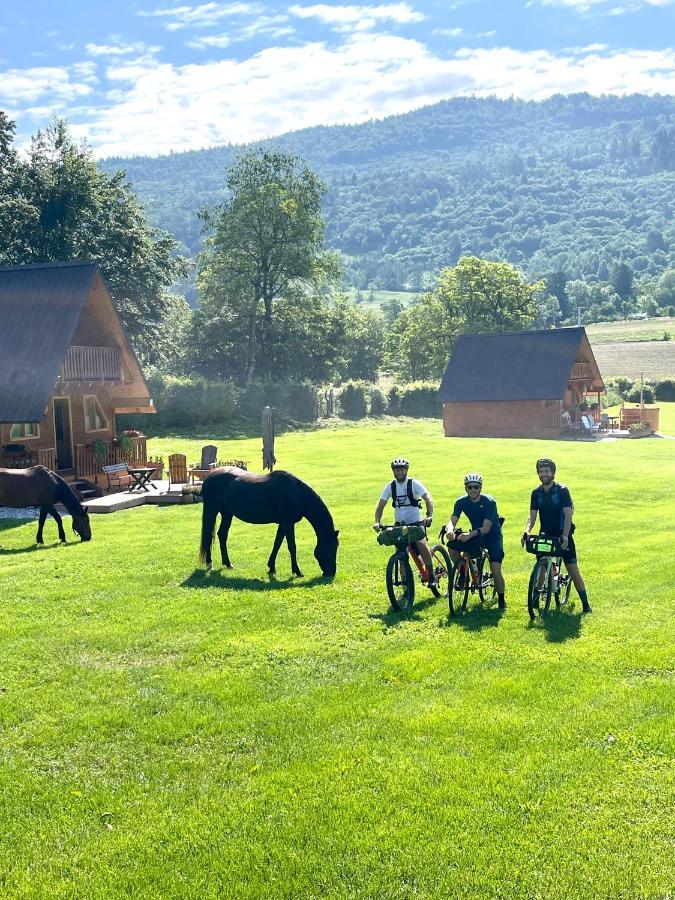 Agri Camp Dolomiti Belluno Exterior foto